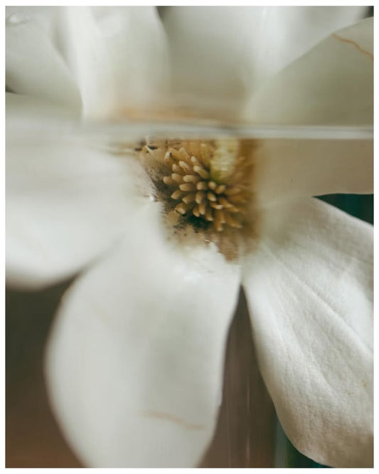 The Cost of Over-Skincare: What Happens When You Use Too Many Skincare Products - Imeanbeauty