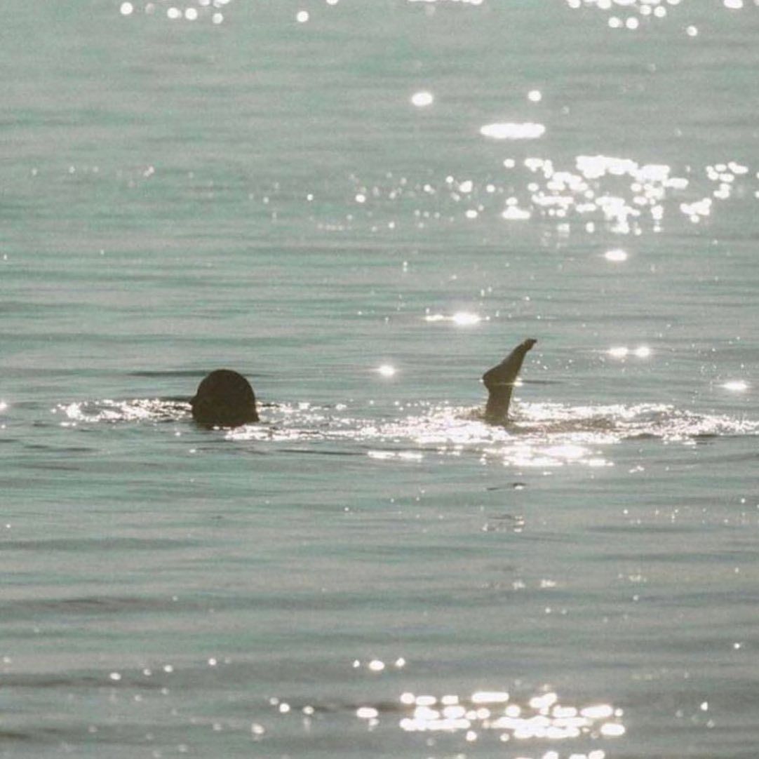 A person floating in calm water with their head and one foot visible above the surface, photographed outdoors on sunlit turquoise water.