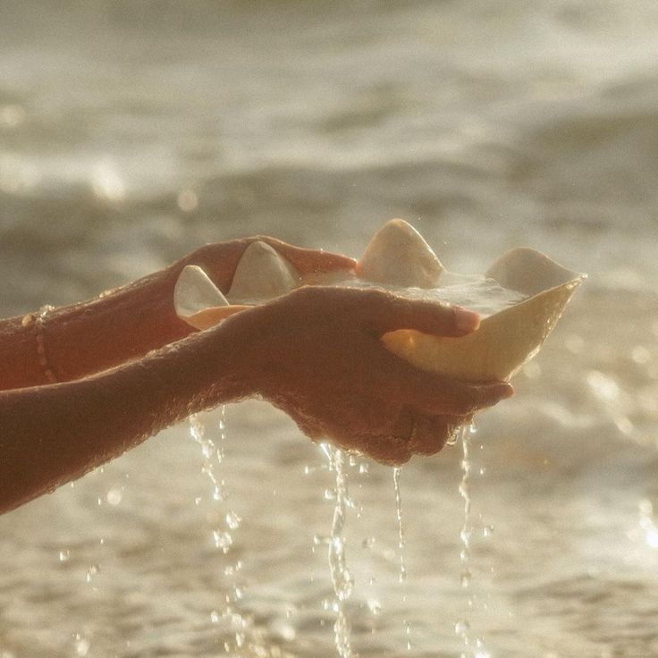 Hands holding seashells by a body of water with a warm glow