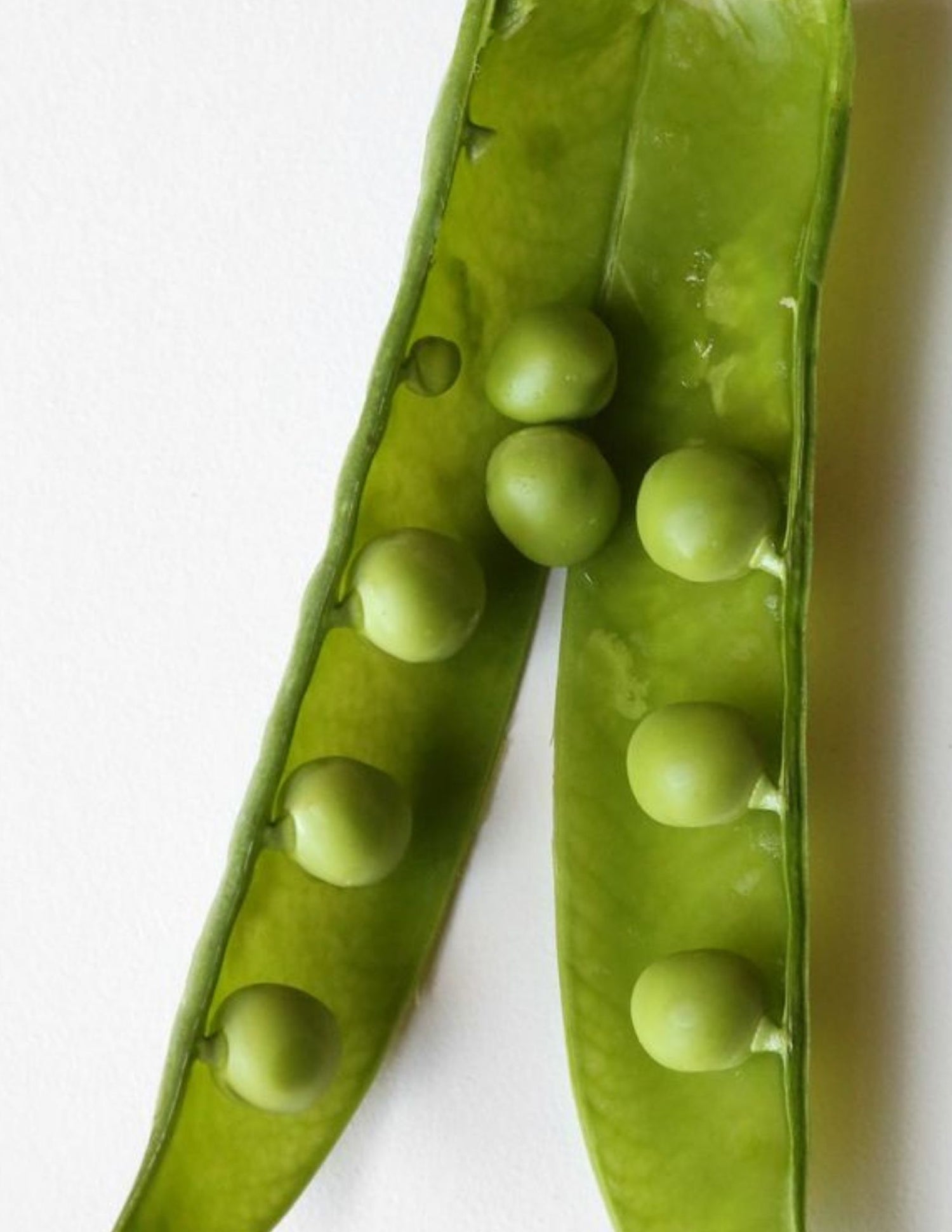 Open pea pod showing green peas inside, representing Pisum Sativum — the natural source of IMEAN’s Beauty peptide ingredient.